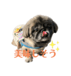 きゅきゅまる（個別スタンプ：3）
