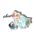 ラブチワーズ（個別スタンプ：6）