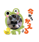 チャッピーちゃん スタンプNo3（個別スタンプ：8）
