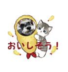 チャッピーちゃん スタンプNo3（個別スタンプ：24）