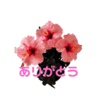 ちぃ様と仲間達（個別スタンプ：1）