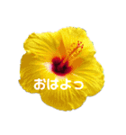 ちぃ様と仲間達（個別スタンプ：3）