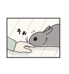 もしも、うさぎと一緒なら 第1弾（個別スタンプ：33）