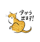 筆絵風の猫(敬語・茶トラ白)（個別スタンプ：2）