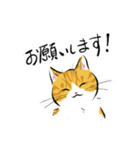 筆絵風の猫(敬語・茶トラ白)（個別スタンプ：10）