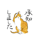 筆絵風の猫(敬語・茶トラ白)（個別スタンプ：15）