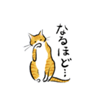 筆絵風の猫(敬語・茶トラ白)（個別スタンプ：16）