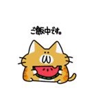 ぽてにゃんこ3（個別スタンプ：18）