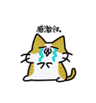 ぽてにゃんこ3（個別スタンプ：30）