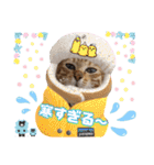 猫❤️冬スタンプ❤️キジトラ ミケ❤️part2（個別スタンプ：10）