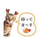 猫❤️冬スタンプ❤️キジトラ ミケ❤️part2（個別スタンプ：15）