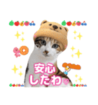猫❤️冬スタンプ❤️キジトラ ミケ❤️part2（個別スタンプ：26）