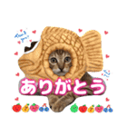 猫❤️冬スタンプ❤️キジトラ ミケ❤️part2（個別スタンプ：27）