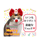 猫❤️冬スタンプ❤️キジトラ ミケ❤️part2（個別スタンプ：29）
