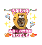 猫❤️冬スタンプ❤️キジトラ ミケ❤️part2（個別スタンプ：31）