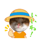 犬猫豚（個別スタンプ：1）