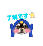 犬猫豚（個別スタンプ：4）