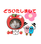 犬猫豚（個別スタンプ：11）