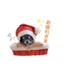 犬猫豚（個別スタンプ：13）