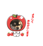 犬猫豚（個別スタンプ：14）