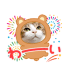 犬猫豚（個別スタンプ：28）