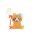 犬猫豚（個別スタンプ：31）