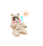 犬猫豚（個別スタンプ：33）