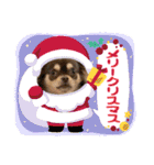 犬猫豚（個別スタンプ：37）