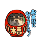 犬猫豚（個別スタンプ：38）