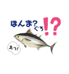 お魚ダジャレ日常スタンプ（個別スタンプ：10）