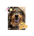 クー＆レモン！仲良しスタンプ！（個別スタンプ：9）