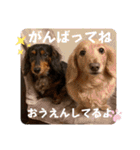 クー＆レモン！仲良しスタンプ！（個別スタンプ：11）