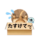 クー＆レモン！仲良しスタンプ！（個別スタンプ：12）