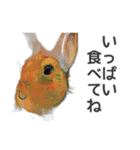 ウサギの油絵スタンプ コンパクトver（個別スタンプ：15）