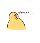 HAPPY BIRDS DAY（個別スタンプ：19）