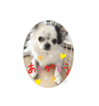 もー太んぷ（個別スタンプ：3）