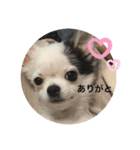 もー太んぷ（個別スタンプ：4）