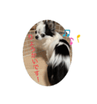 もー太んぷ（個別スタンプ：8）