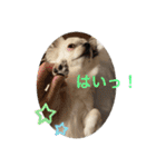 もー太んぷ（個別スタンプ：10）