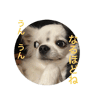 もー太んぷ（個別スタンプ：15）