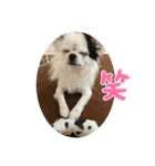 もー太んぷ（個別スタンプ：19）