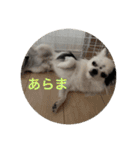 もー太んぷ（個別スタンプ：20）