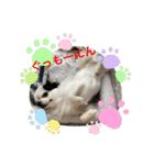 もー太んぷ（個別スタンプ：22）