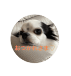 もー太んぷ（個別スタンプ：25）