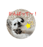 もー太んぷ（個別スタンプ：26）
