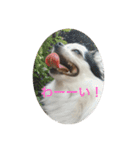 もー太んぷ（個別スタンプ：33）