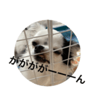 もー太んぷ（個別スタンプ：38）