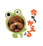I'm chaboooooo！（個別スタンプ：7）