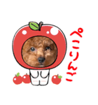 I'm chaboooooo！（個別スタンプ：9）