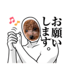 I'm chaboooooo！（個別スタンプ：10）